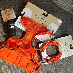 Wild one harness & leash